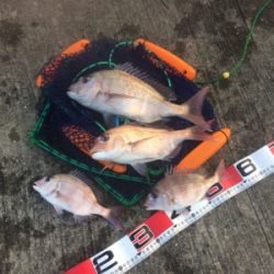 長潮でしたがなんとか