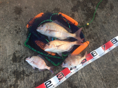 長潮でしたがなんとか