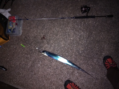 今日は引き釣りテンヤのみ