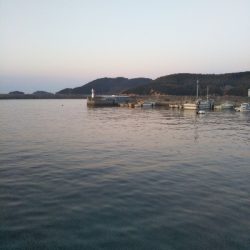 今年の締めくくりのつもりで…