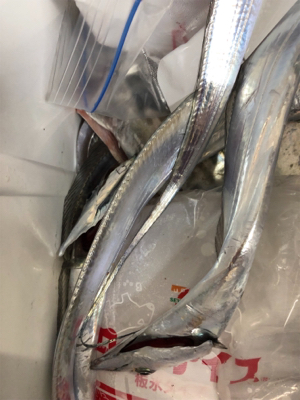 活性は高いのか？