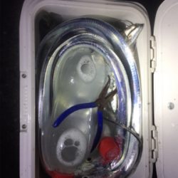 タチウオのハイシーズン到来！