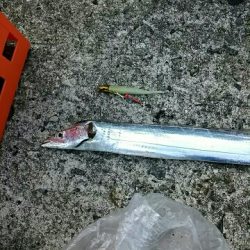 二年ぶりの武庫一