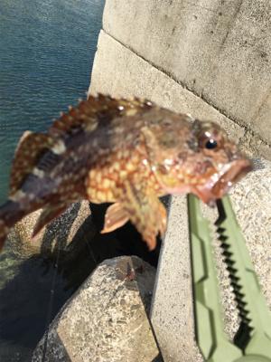 ロックの穴場？