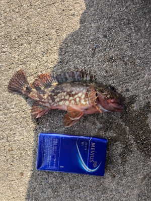 穴釣りのんびり