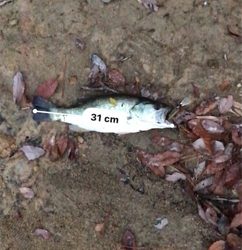 肌寒くなってきました