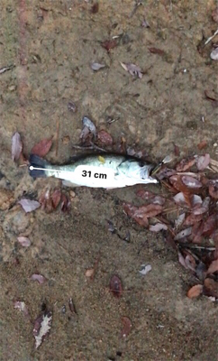 肌寒くなってきました