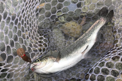 1Hit1ルアー縛り