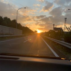 アオリイカキタァー！