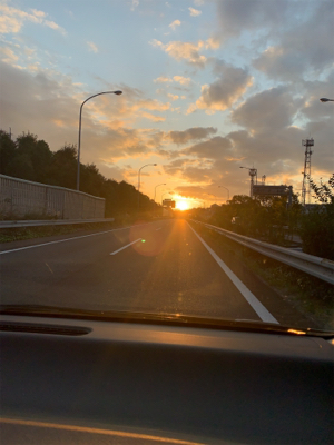 アオリイカキタァー！