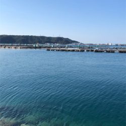 とんかつサイズ1枚ぽっきり（＾ν＾）