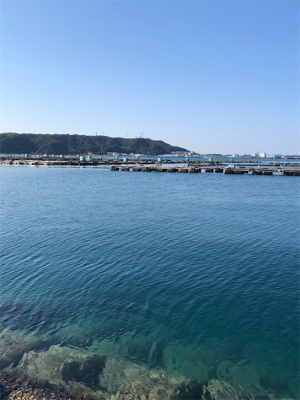 とんかつサイズ1枚ぽっきり（＾ν＾）