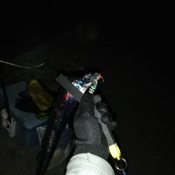 ナイトショアジギング