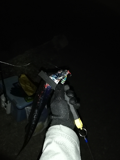 ナイトショアジギング