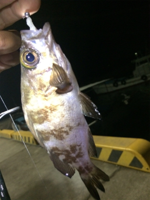 マリンピア沖洲でライトゲーム