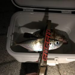 灘浜でライトゲーム