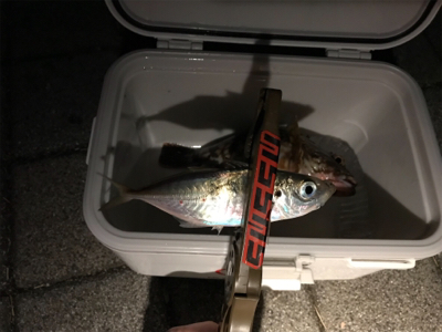 灘浜でライトゲーム