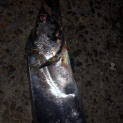 ドラゴン及ばず…。