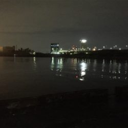 激シブ！釣果写真は1匹のみ・・・