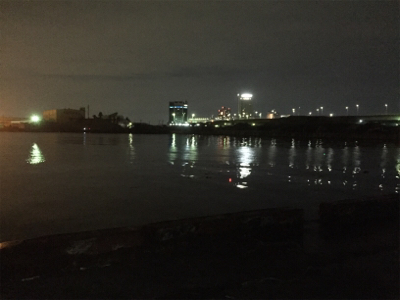 激シブ！釣果写真は1匹のみ・・・