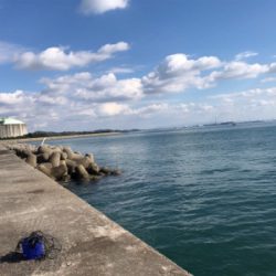 姫路青物また続いてます！