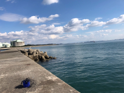 姫路青物また続いてます！