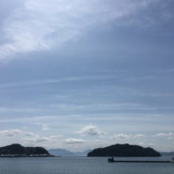 昼休憩中のナイスファイト！