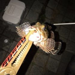 灘浜ライトゲーム