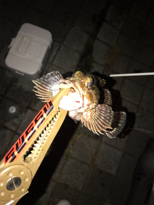 灘浜ライトゲーム