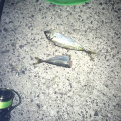 まったりヤエン