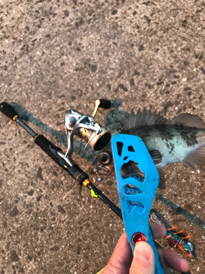 早朝メバリングin御所浦