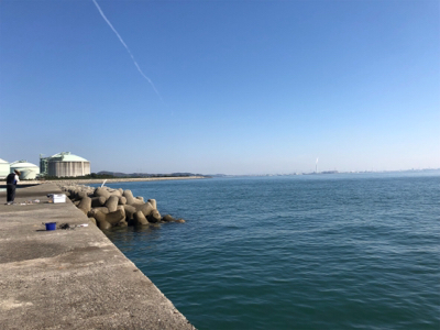 同じ場所で同じハマチ！？