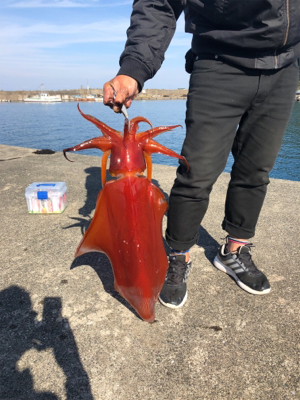 ま、まさかの化け物(^^)(^^)