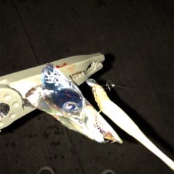 久しぶりの浮き釣り