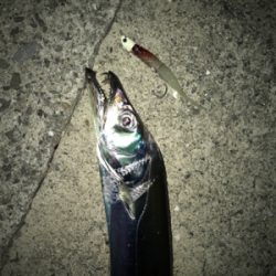 ドラゴンさん、いらっしゃ〜い