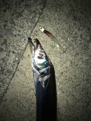 ドラゴンさん、いらっしゃ〜い