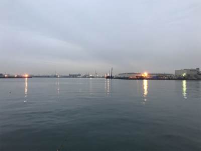 泉大津のタチウオはそろそろ