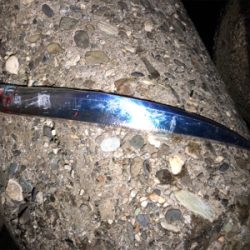 久々のタッチー調査