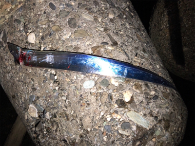 久々のタッチー調査