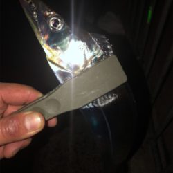 いよいよ終盤？