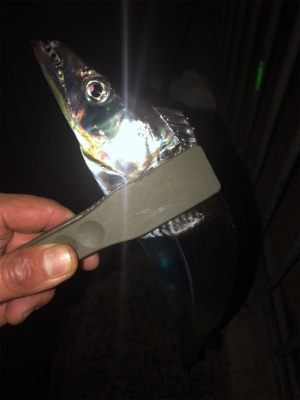 いよいよ終盤？