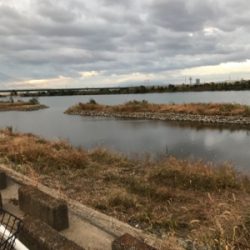 釣れなさすぎる！