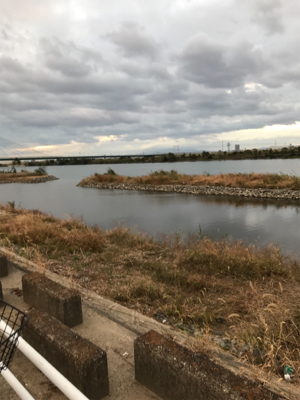 釣れなさすぎる！