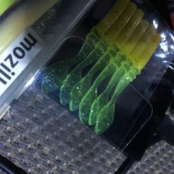 激さむ！釣果も寒い！！