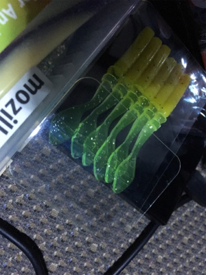 激さむ！釣果も寒い！！