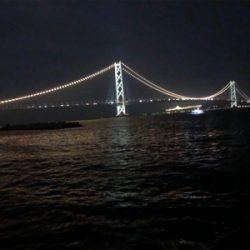 ナイトエギング