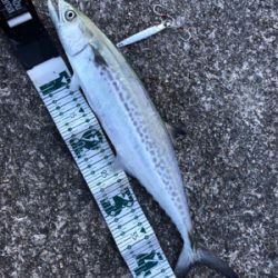 武庫川渡船に乗って…2度目の武庫一‼️