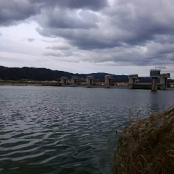 紀ノ川ルアーゲーム