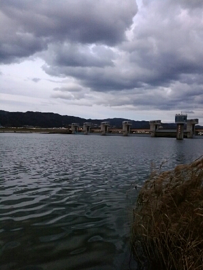 紀ノ川ルアーゲーム