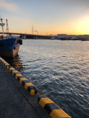 大分市家島港 サビキ釣り